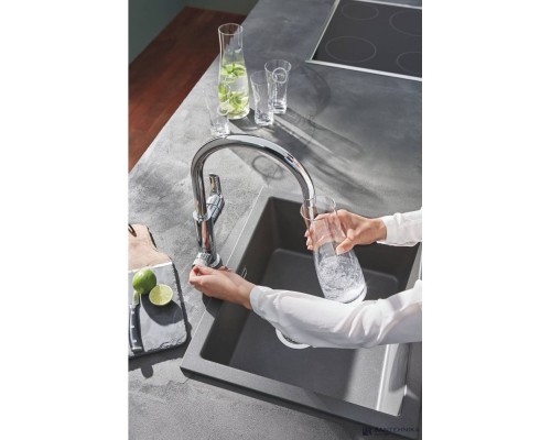 Смеситель для кухонной мойки Grohe Blue Pure Eurosmart 119708 в комплекте с фильтром