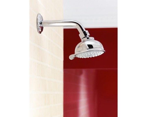 Верхний душ Grohe New Tempesta Rustic 100 27610000