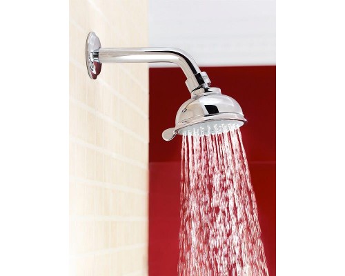 Верхний душ Grohe New Tempesta Rustic 100 27610000