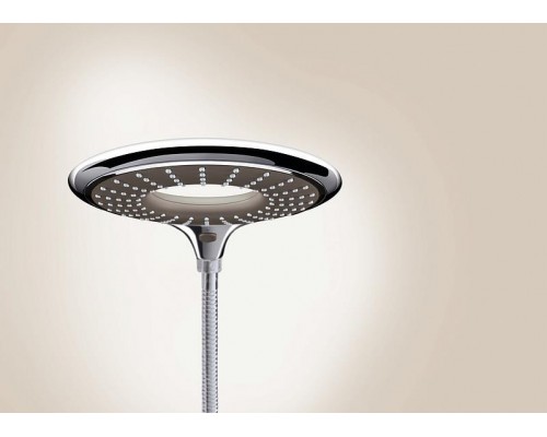 Душевая лейка Grohe Rainshower Icon 27637000
