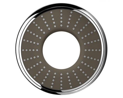 Душевая лейка Grohe Rainshower Icon 27637000