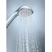 Душевая лейка Grohe Relexa Five 28796000