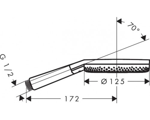 Ручной душ hansgrohe Raindance Alive Select S, 24500000, хром