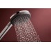 Ручной душ hansgrohe Raindance Alive Select S, 24500000, хром