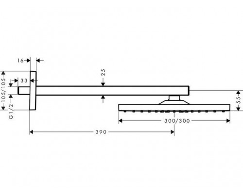 Верхний душ Hansgrohe Raindance Е 300, 1 jet, держатель, 26239000
