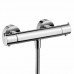 Термостат для душа Hansgrohe Ecostat S 13232000