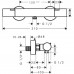 Термостат для душа Hansgrohe Ecostat Life Shower 13382000