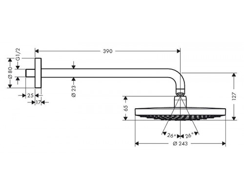 Тропический душ со стены Hansgrohe Raindance Select S240 2jet, 26466000