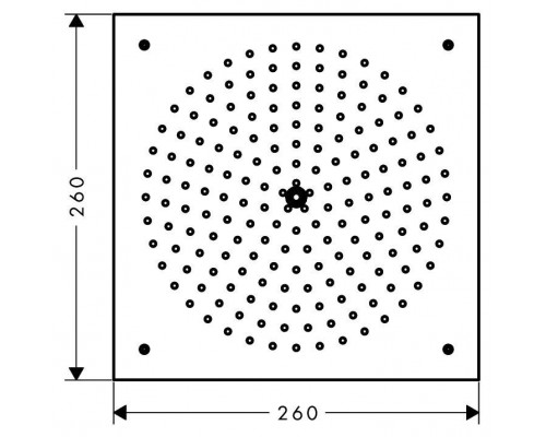 Душевая лейка для потолочного душа Hansgrohe Raindance, 26472000