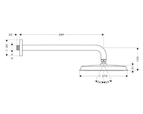 Тропический душ Hansgrohe Raindance Classic, со стены, диаметр 24 см, 27424000
