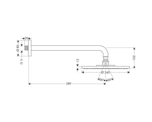Верхний душ Hansgrohe Raindance 240 EcoSmart с держателем, 27461000