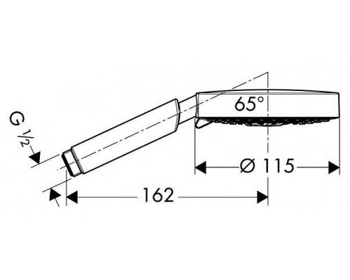 Душевая лейка Hansgrohe Raindance S 120 AIR 3Jet 28514000