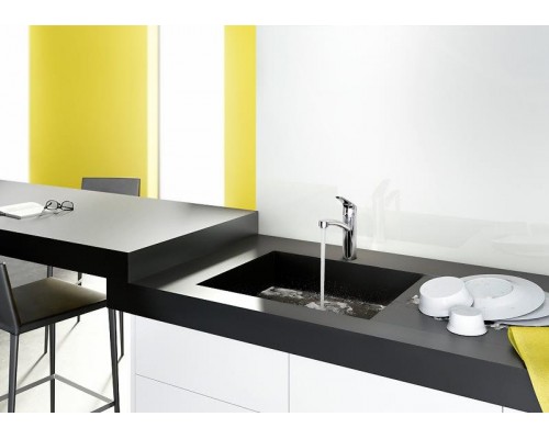 Смеситель кухонный Hansgrohe Focus 31806800