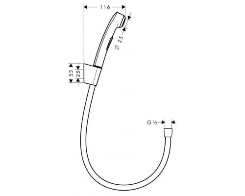 Гигиенический душ для псевдобиде Hansgrohe, шланг Isiflex 160 см, 32128000