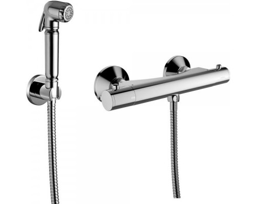 Термостат с псевдобиде Omnires Termo Bidetta Mini, настенный