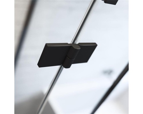 Душевая дверь Radaway Essenza New Black DWJ 80R 800x2000