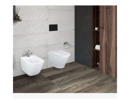 Подвесной унитаз Roca Gap Round A3460NL000 безободковый