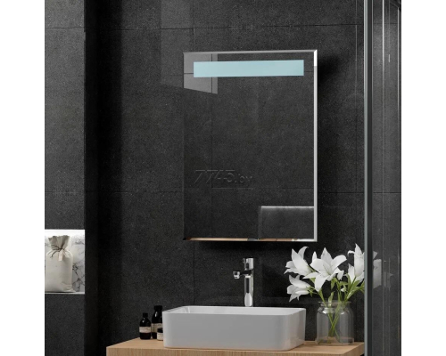 Зеркало с подсветкой КОНТИНЕНТ Фаворит Люкс LED 535х740 ЗЛП19