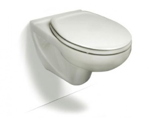Сиденье с крышкой для унитаза Roca Victoria ZRU8013900, Россия